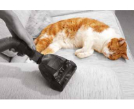 VAX AIR COMPACT PET silver/blue C85-AM-P-E - 1435690 - zdjęcie 8